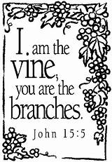 Vine Branches Am Coloring Clipart Pages Scripture Clip Jesus Printables John Clipground Vines 4catholiceducators Bible Santos Gif sketch template