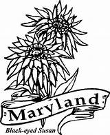 Coloring State Pages Flowers Maryland Flower Kids Google Kentucky Party Flag Gif Crown sketch template
