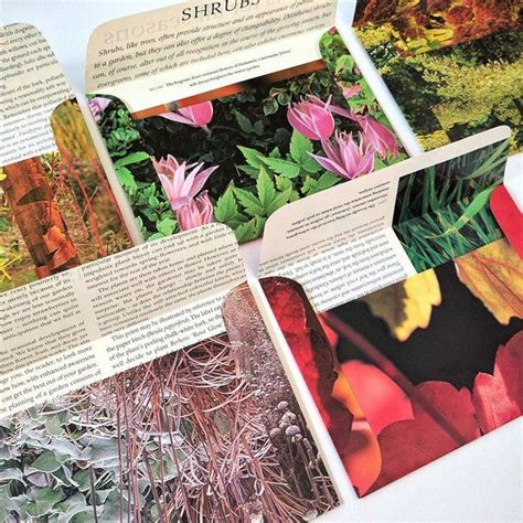 botanical envelopes snail mail art floral stationery mailing