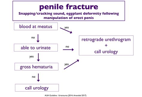penile fracture and priapism foamcast