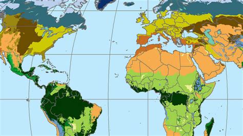 lesson plan discovering rainforest locations