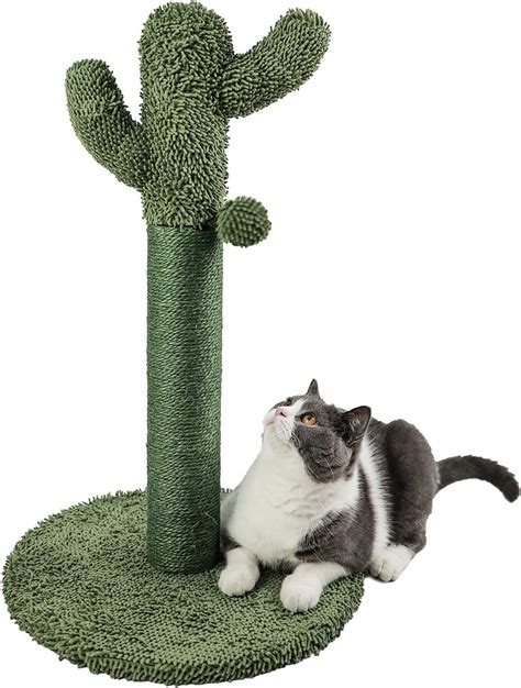 catinsider  cactus cat scratching post  dangling ball green