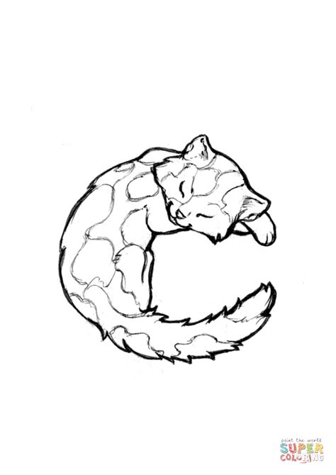 cat coloring page  animals alphabet category select