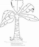Banana Tree Coloring Pages Colouring Getcolorings Color Print Printable sketch template