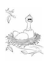 Nest Bird Coloring Eggs Piping Plover sketch template