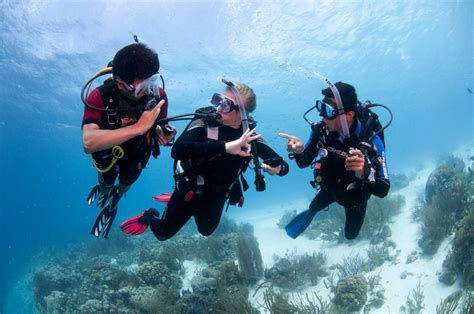 dive master intern gold coast scuba diving with queensland scuba