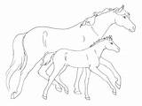 Coloring Foal Pages Horse Mare Mother Printable Getcolorings Getdrawings Color sketch template