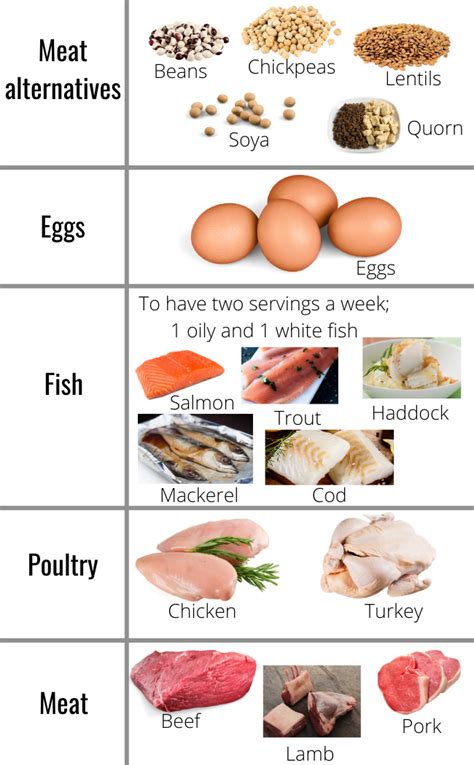 Protein Just The Facts Health For Teens