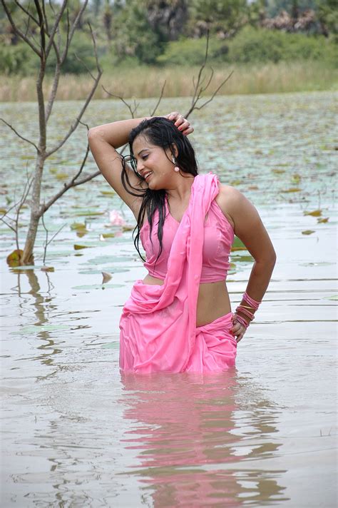 indian hot actress roopa kaur sexy n spicy hot pics in wet pink saree