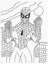 Parker Peter Spiderman Coloring Drawings sketch template