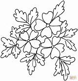 Coloring Oak Pages Tree Wreath Leaf Trees Printable sketch template