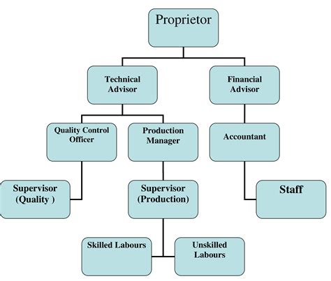 nsha organization chart image