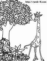 Jungle Coloring Tree Animal Kids Pages Animals Drawing Color Book Print Getcolorings Pngjoy sketch template