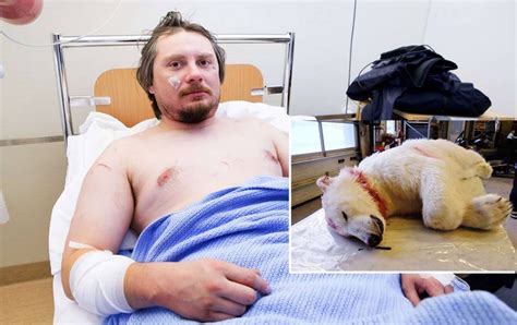 man attacked by polar bear as he camped out to watch the