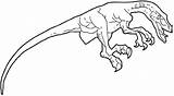 Velociraptor Coloring Pages Print Kids Animal sketch template