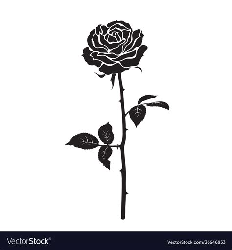 black silhouette rose flower  leaves vector image