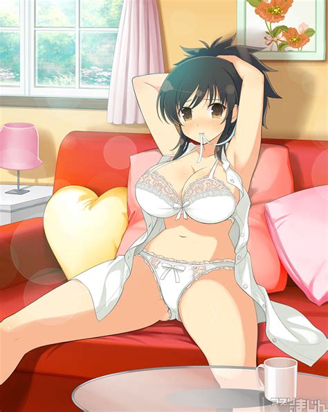 Senran Kagura Series Free Step Dodge