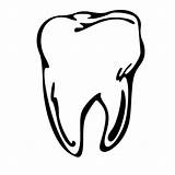Tooth Molar Clipart Drawing Clip Line Transparent Teeth Dental Cliparts Tom Clipartbest Wisdom Floss Clipartmag Library Getdrawings Clipground Use sketch template