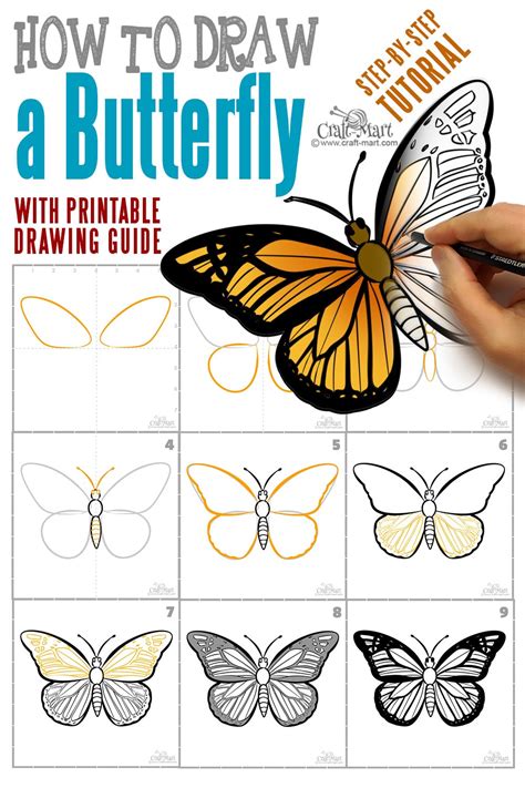 draw  butterfly steps craft mart
