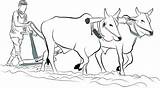 Farmer Cow sketch template