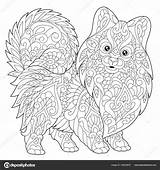 Pomeranian Zentangle Spitz Antistress Freehand sketch template