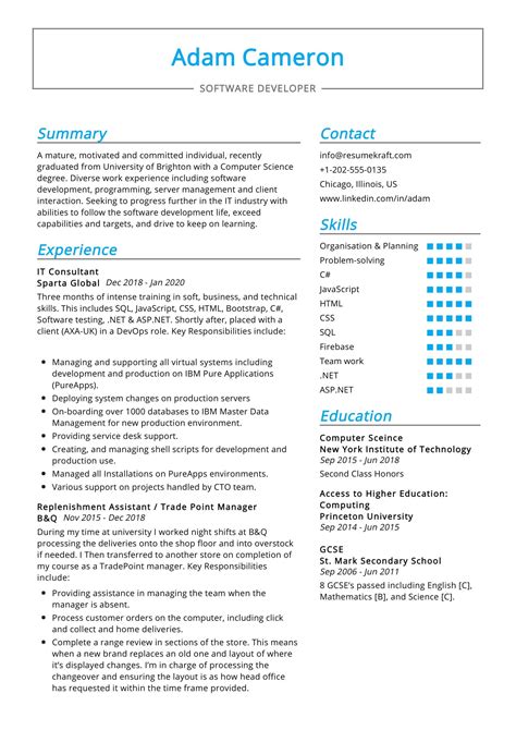 consultant resume sample   resumekraft