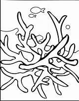 Coloring Seaweed K5worksheets Clipartbest sketch template