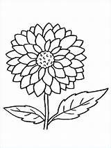 Dahlie Coloriage Plantes Ausmalbilder Adults Ausmalbild Impressionnant Photographie Dahlien Blume Stiel Sonnenblumen Pinnwand Auswählen Dahlia sketch template
