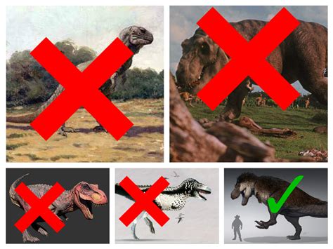 scientifically accurate paleo  rex  animalman  deviantart