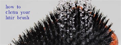 properly clean  hair brush  boar bristle brushes