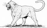 Lions Panthers sketch template