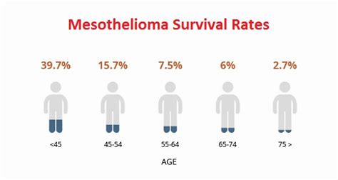 Mesothelioma Survival Rates And Statistics By Age Sex And Treatment Type