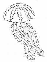 Jellyfish Coloring Pages Kids Print Coloringkids sketch template