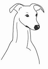 Clipart Whippet Greyhound Galgo Dog Lurcher Thewhippet Outline Clip Line Cliparts Head Detail Silhouette Coloring Clipground Crafts Kitty Cartoon Library sketch template