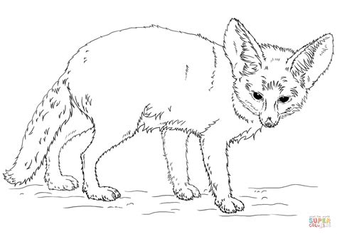 mammals foxes fennec fox coloring pages