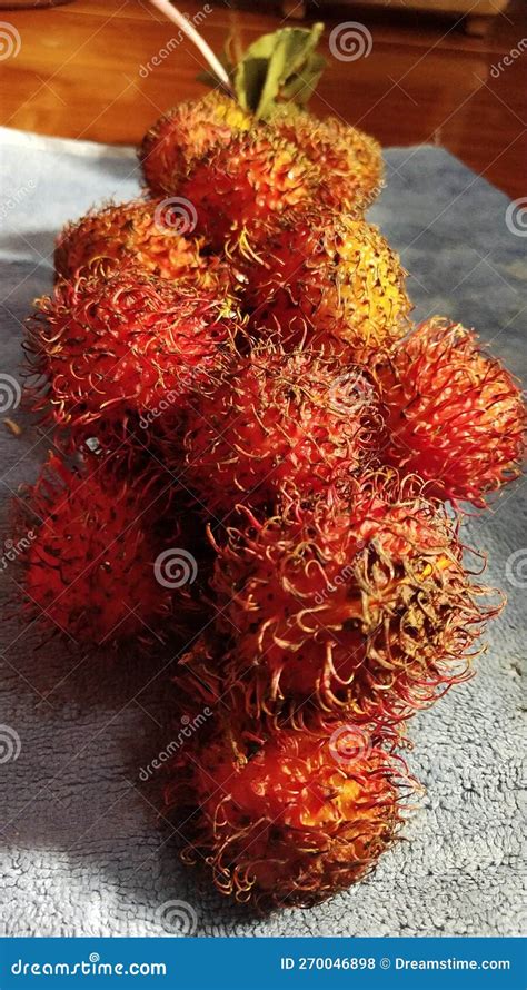 Rambutan Is A Tropical Fruit Originating From Islands In Southeast Asia