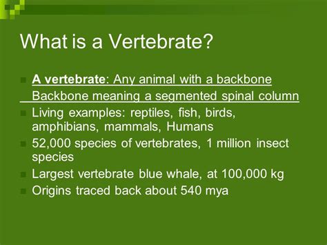 top  vertebrate animals meaning lestwinsonlinecom
