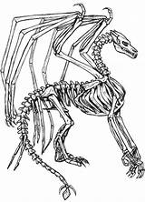 Skelett Drachen Ausmalbild Breathing Dinosaur Godzilla Skull Visit sketch template