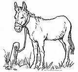 Donkey Balaam Easter sketch template