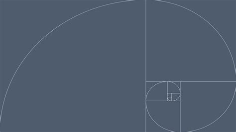 Blue Illustration Fibonacci Sequence Golden Ratio Graphic Design