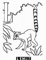Lemur Alfabeto Animais Bestcoloringpagesforkids Letras sketch template