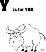Coloring Yak Letter Pages Printable Drawing sketch template
