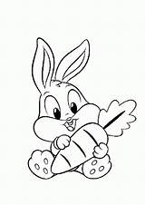 Coloring Bunny Pages Rabbit Popular Bunnies sketch template