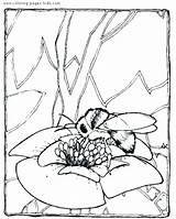 Coloring Pages Badger Bee Honey Cartoon Louisiana Flower Bucky Color Getcolorings Wisconsin Badgers Getdrawings Print Drawing Colorings Bees Printable sketch template