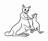 Kangaroo Clipartmag Narcotics sketch template
