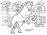 Cavalo Fazenda Colorir Tudodesenhos sketch template
