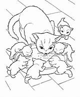 Coloring Pages Cats Cat Printable Kids sketch template