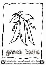 Beans Green Coloring Pages Vegetables Printable Growing Vegetable Colouring Kids Fruits Clipart Color Templates Lucy Library Sheets Fruit Pyramid Complete sketch template