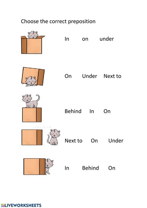 prepositions  place   worksheet