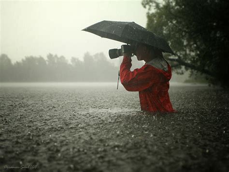 beautiful rain  ylovephoto